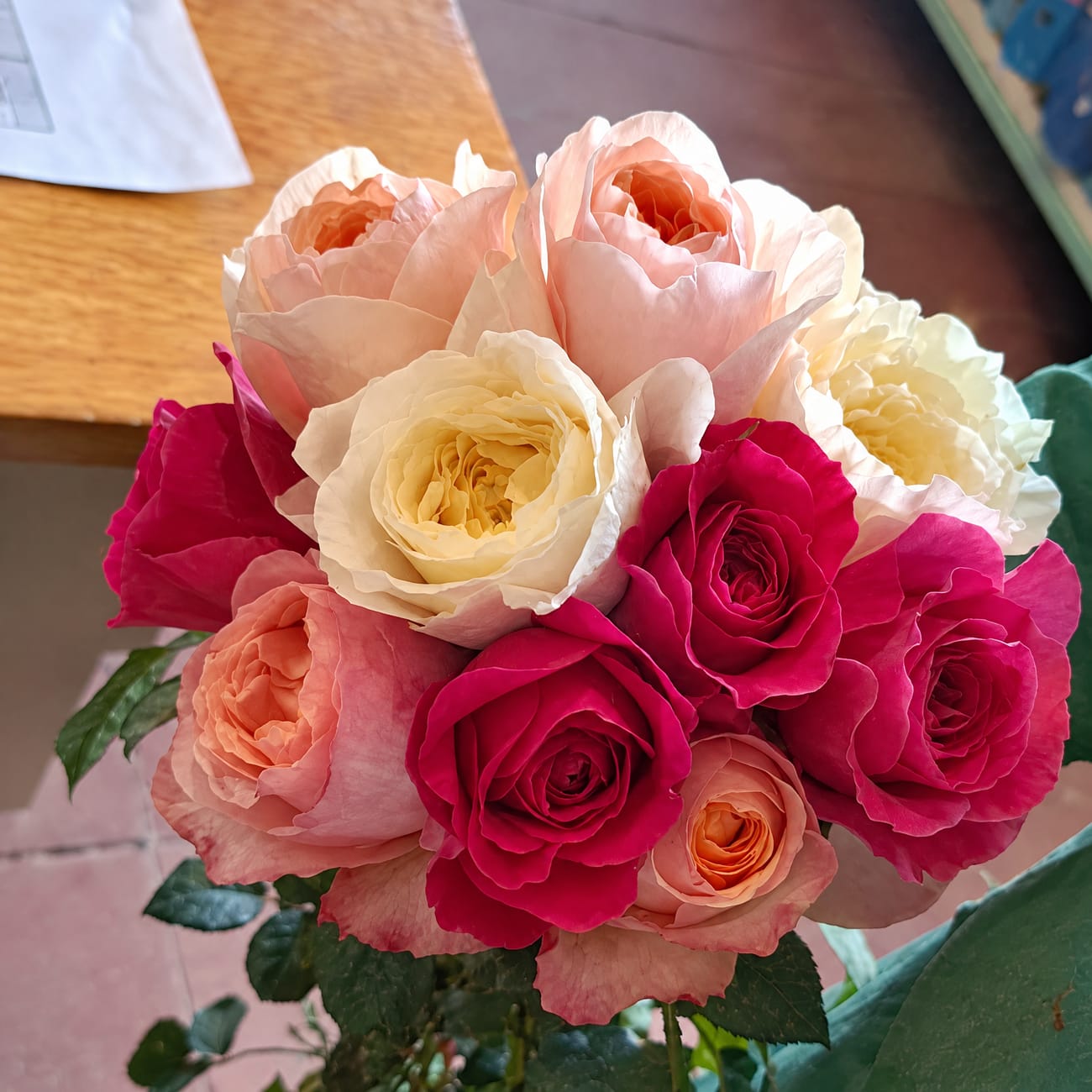 Garden Roses