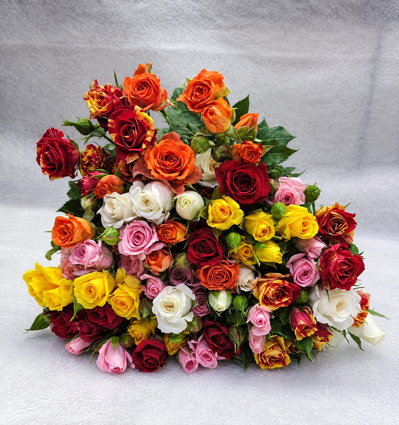 Spray Roses
